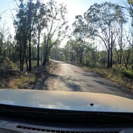 The Thirsty 2021 Tour – Day 7 – Salvator Rosa NP to Blackdown Tablelands NP